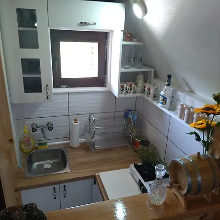 Planinska Kuca-jovanovic! Ferienhaus Kremna