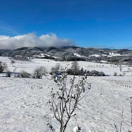 Holiday home Planinska Kuca-jovanovic! Kremna