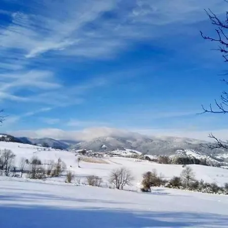 Holiday home Planinska Kuca-jovanovic! Kremna