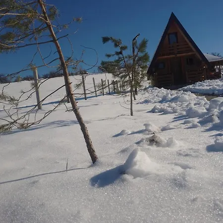 Holiday home Planinska Kuca-jovanovic!