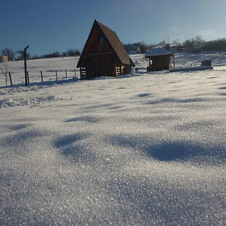 Holiday home Planinska Kuca-jovanovic!