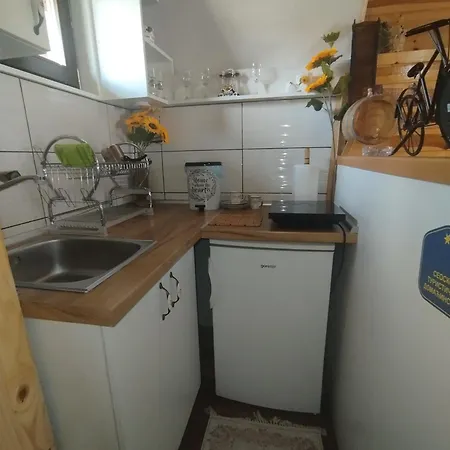 Planinska Kuca-jovanovic! Holiday home Kremna