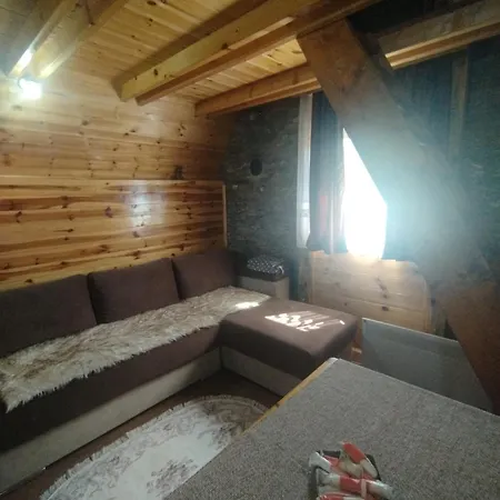 Holiday home Planinska Kuca-jovanovic! *