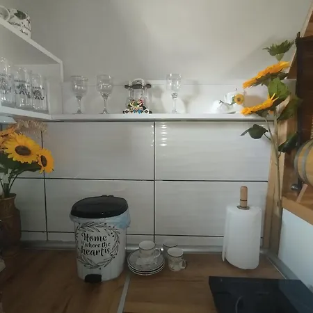 Holiday home Planinska Kuca-jovanovic! Kremna